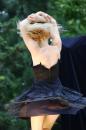 La Reine s ennuie 29 * 5616 x 3744 * (8.5MB)